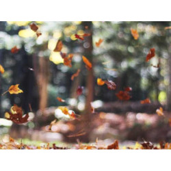 Rustic Copper Watch fr-FR